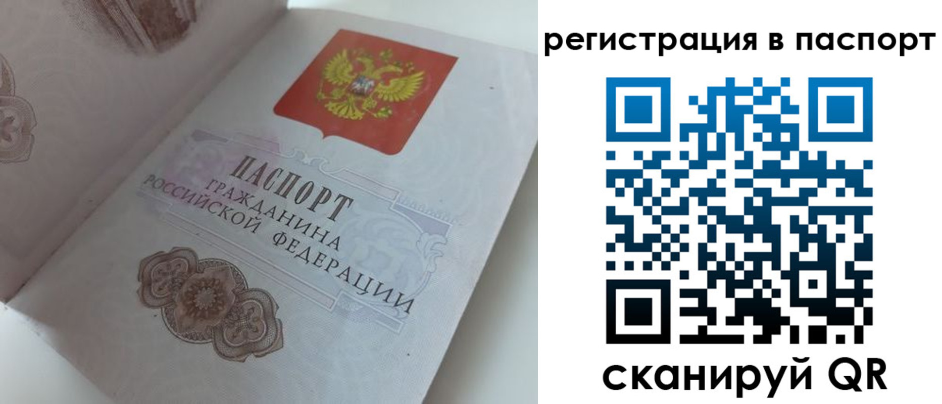 прописка регистрация в Дорогобуже